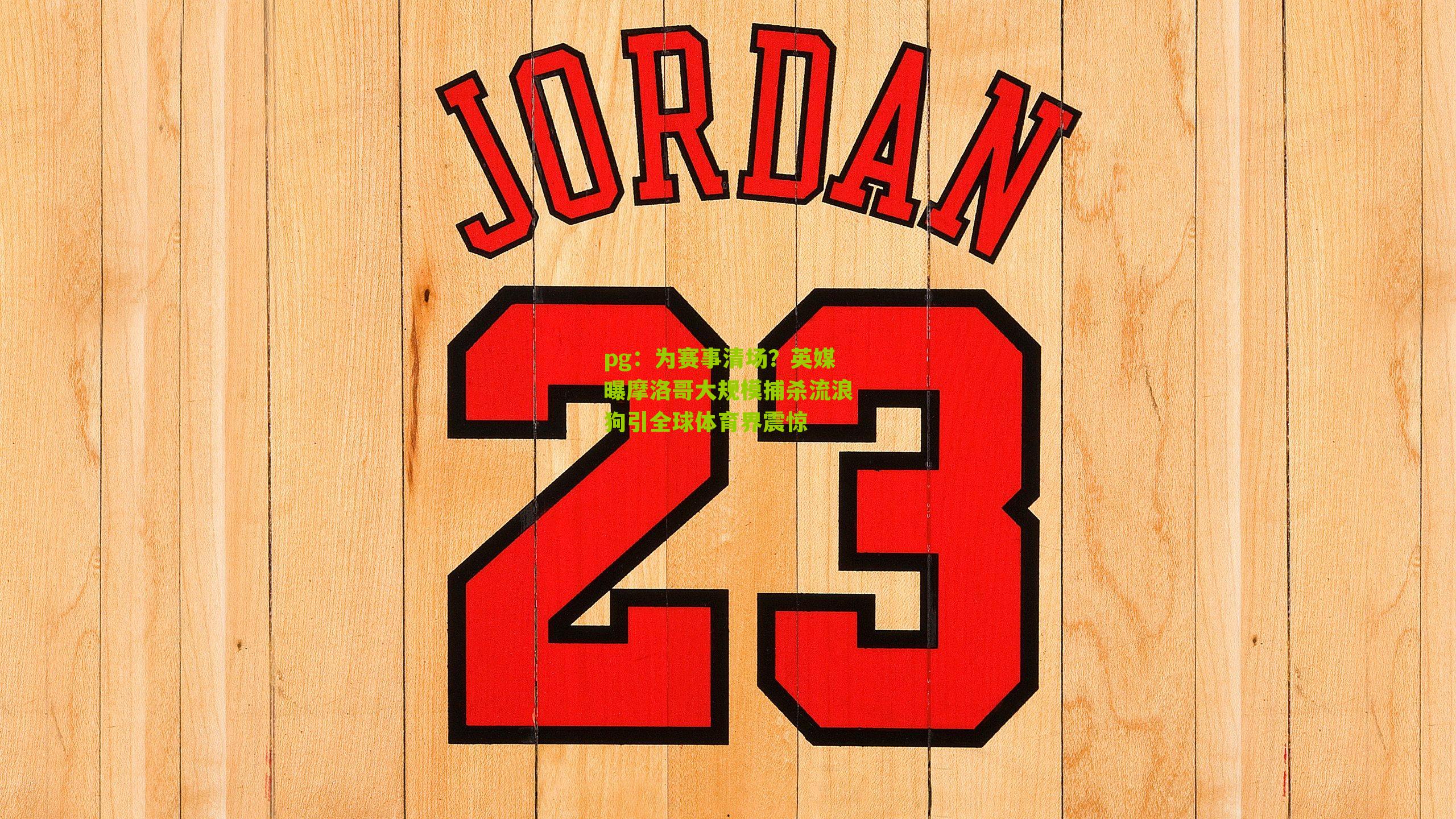 pg：为赛事清场？英媒曝摩洛哥大规模捕杀流浪狗引全球体育界震惊